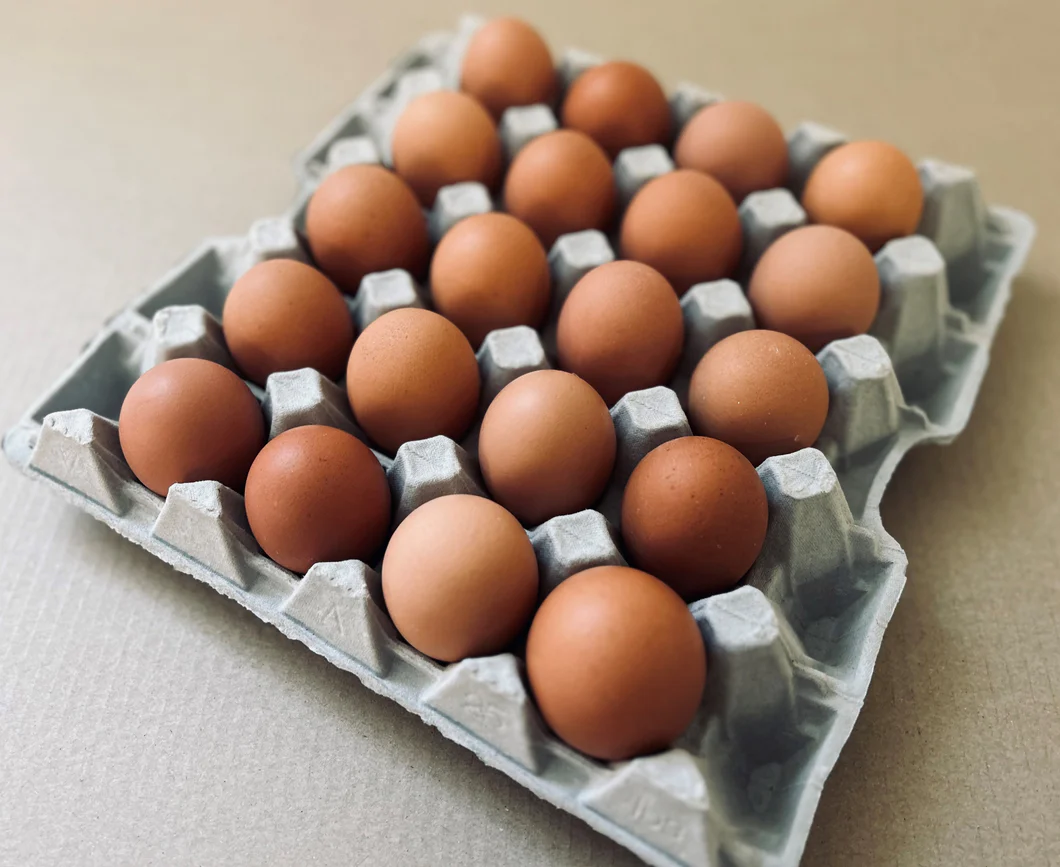 20 eggs