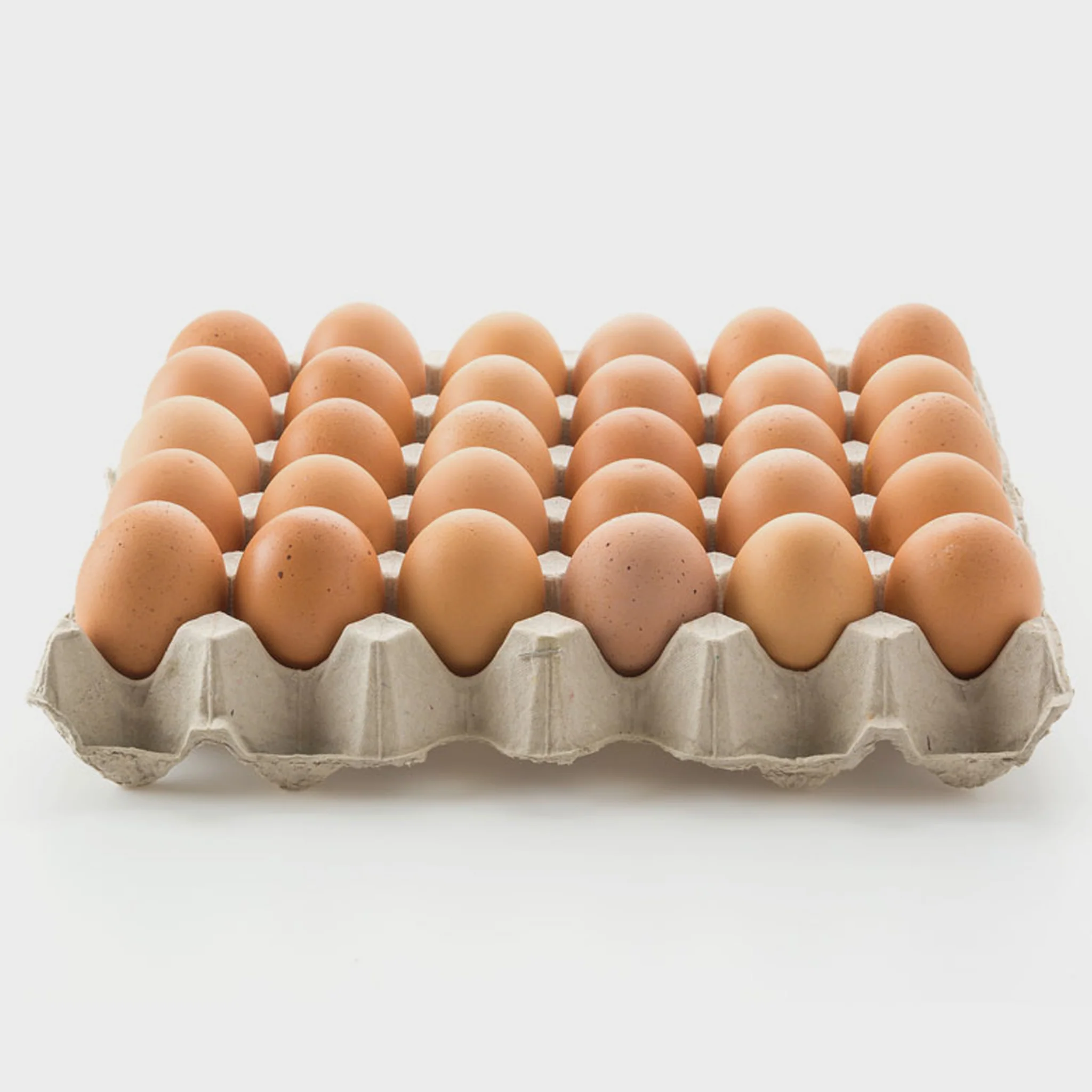 Product Image Catering Trays