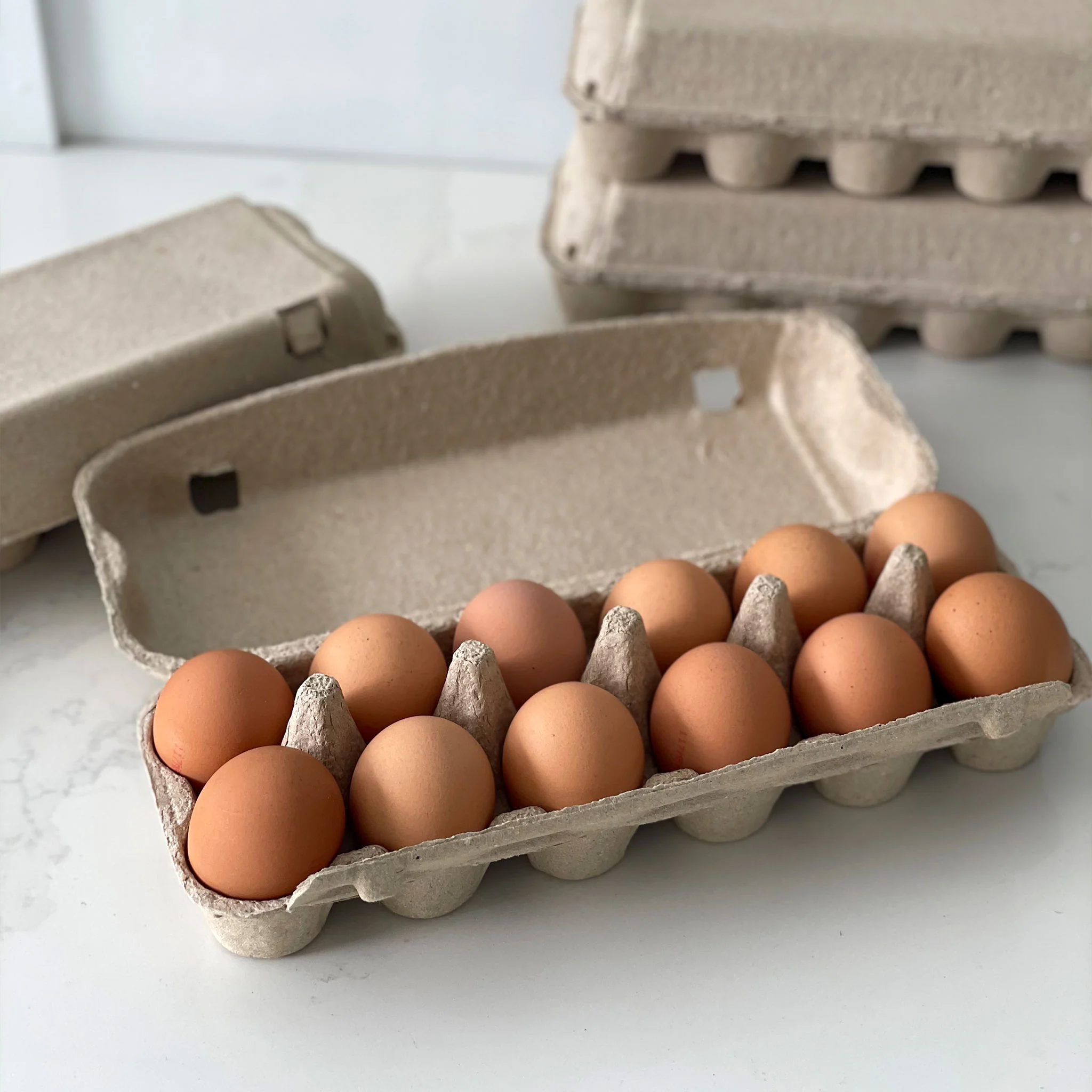 Product Image egg carton 12 pulp2 1